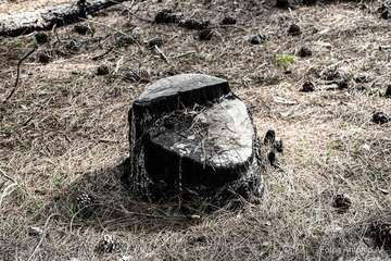 De ruta por el macizo de Tamadaba/Antonio Ali.